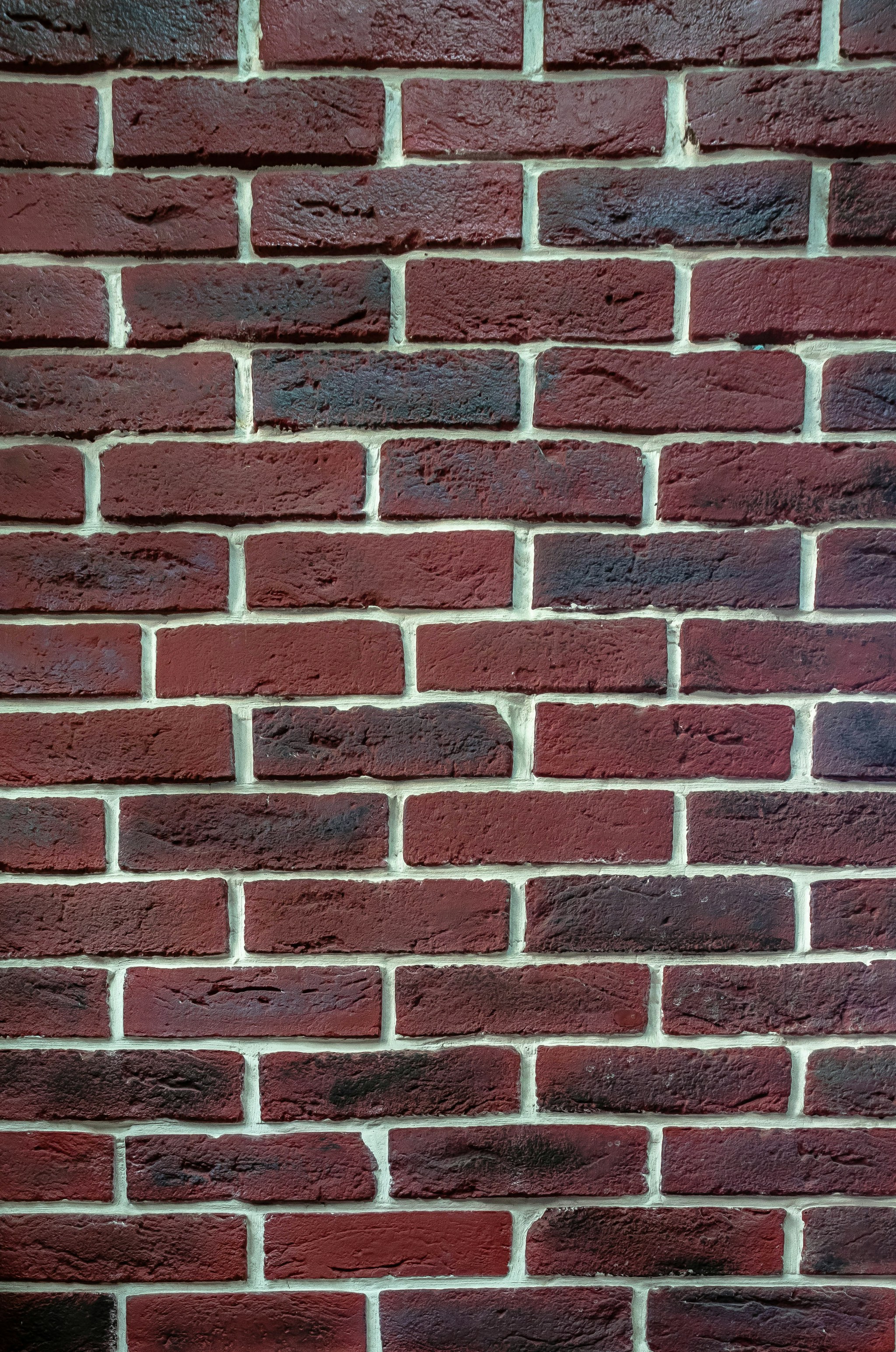 Тайга графит 1 НФ — фотография 4
